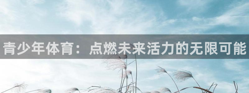 尊龙官网下载招商电话号码是多少:青少年体育:点燃未来活力的无