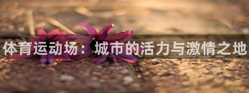 尊龙官方正版app集团官网首页网址:体育运动场:城市的活力与