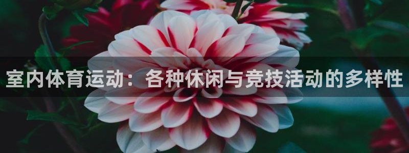 尊龙官网下载联系电话:室内体育运动:各种休闲与竞技活动的多样