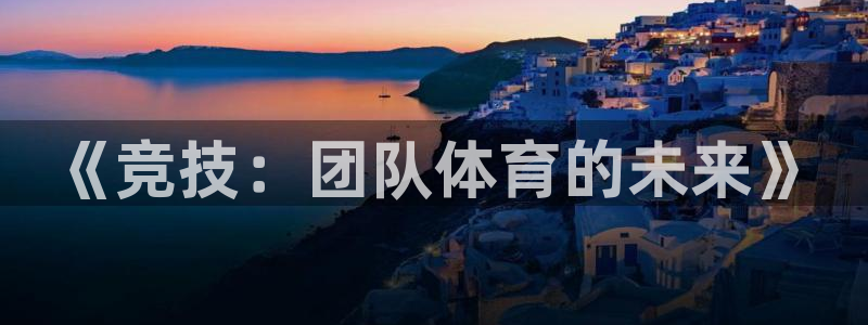 尊龙官方正版app五金厂:《竞技:团队体育的未来》