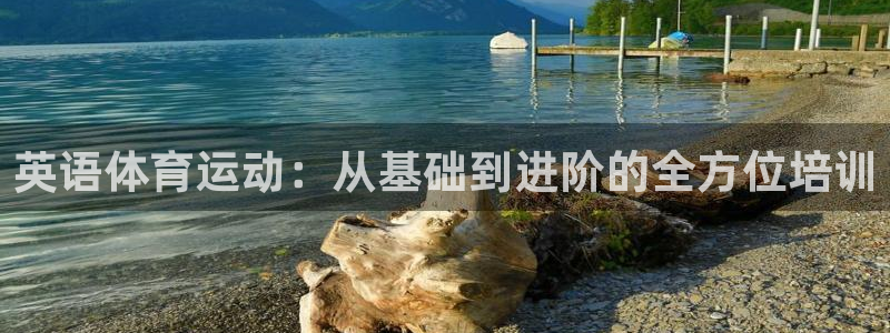 尊龙官网下载注册:英语体育运动:从基础到进阶的全方位培训